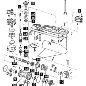 JOHNSON EVINRUDE LOWER UNIT